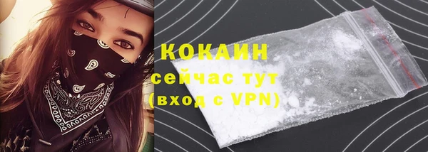 a pvp Ельня