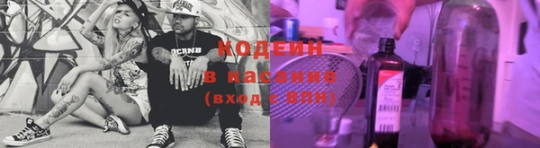 a pvp Ельня