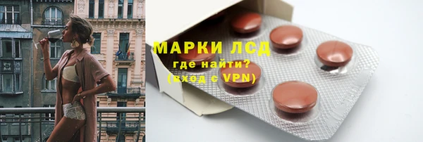 стаф Елабуга