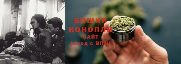 стаф Елабуга