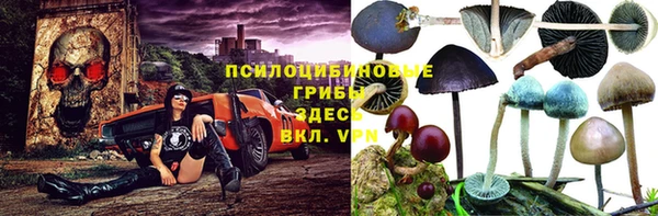 марихуана Елизово