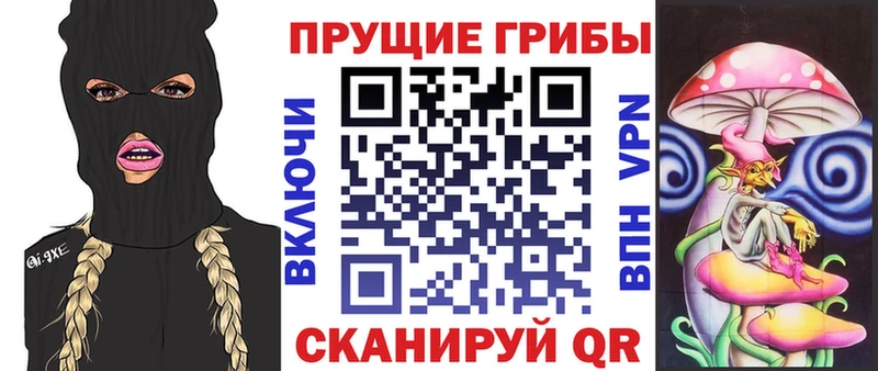 Псилоцибиновые грибы Psilocybe  Купить закладки  Микунь 